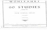 Wolfahrt 60 estudios opus45