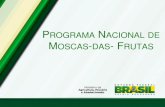 Programa Nacional de Moscas-das-Frutas