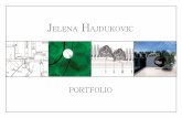 Jelena Hajdukovic Portfolio