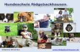 Hundeschule Ridgebackhausen slideshare