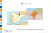 Navarra Fall 2013