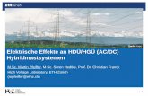 Wissenschaftsdialog 2015 der Bundesnetzagentur: Martin Pfeiffer, ETH Zürich: Elektrische Effekte an HDÜ/HGÜ (AC/DC) Hybridmastsystemen
