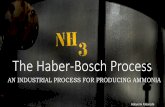 Haber-Bosch Process