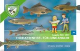 Fischartenfibel für Jungangler (PDF / 9,3 MB)