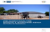 AHK-Zielmarktanalyse: „Biogas & Biomasse Kenia“