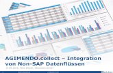 – Integration von Non-SAP Datenflüssen