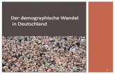 Der demographische Wandel in Deutschland