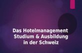Das hotelmanagement studium & ausbildung in der schweiz