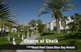 Hotel Reef Oasis Blue Bay Resort