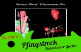 Events präsentieren / Pfingstrock in Herzberg