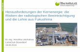 Herausforderungen der Kernenergie: die Risiken der radiologischen Beeinträchtigung und die Lehre aus Fukushima