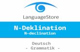LanguageStore - N-Deklination