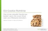 EU-Cookie-Richtlinie - Der aktuelle Handlungsbedarf