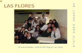 Aua Las Flores 2007