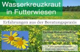 2018b HUMER Wasserkreuzkraut  in Futterwiesen. Erfahrungen aus der Beratungspraxis Vortrag, Fachtag Wasserkreuzkraut Nonndorf Gmünd,2018jan16