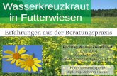 2018 HUMER Wasserkreuzkraut  in Futterwiesen. Erfahrungen aus der Beratungspraxis Vortrag, Fachtag Wasserkreuzkraut Nonndorf Gmünd,2018jan16