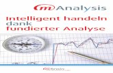 M-Analysis Flyer (2013)