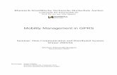 Mobility in GPRS ver8 - RWTH Aachen University · PDF fileThis paper describes concepts of mobility in mobile communication, ... is a step between GSM and 3G cellular networks. ...