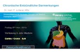 Chronische Entzündliche · PDF fileMorbus Crohn: Rezidivrisiko, je nach Schweregrad der endoskopischen Läsionen ... Hansen, et al Journal of Crohn's and Colitis (2011) 5, 577–584