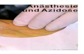 Anästhesie und Azidose - SIGA/ · PDF fileVorwort Der Säure-Basen-Haushalt ist eines der komplexesten und feinsten Systeme überhaupt im menschlichen Organismus. Viele Vorgänge
