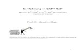 Einführung in SAP R/3 - klaus-kolb.de · PDF file3 Literatur: Pflichtlektüre: Hildebrand, Knut / Rebstock, Michael, Betriebswirtschaftliche Einführung in SAP R/3, Mün-chen, Wien