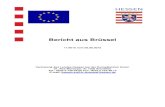 Bericht aus Brüssel - Hessische Staatskanzlei · PDF fileTochtergesellschaft Riberebro Integral S.A.U. aus ESP über ihren Verdacht unterrichtet, gegen die Kartellvorschriften verstoßen