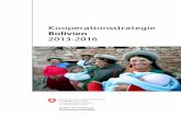 Kooperationsstrategie Bolivien 2013-2016 · PDF fileINE Instituto Nacional de Estadística ... schritte auf dem Weg zur Erreichung der MDGs. Mit Ausnahme der MDGs 4 und 5 (Kinder-