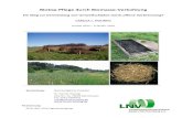 Biotop-Pflege durch Biomasse-Verkohlung - lnv-bw.delnv-bw.de/wp-content/uploads/2014/08/Biomasse- ‚ ‚ 2 Studie Biotop-Pflege durch Biomasse-Verkohlung 2012-2014 Abwƒ¤rme