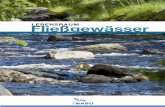 NABU-Broschüre „Lebensraum Fließgewässer“ · PDF file8 vIELFALt UNd Für die meisten von uns ist er wohl der Inbegriff intak-ter Natur: Ein mal plätschernder, mal sprudelnder