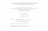 Totale antioxidative Kapazität bei am Herzen operierten ...darwin.bth.rwth-aachen.de/opus3/volltexte/2003/651/pdf/Sokalska... · ROOH R-Hydroperoxyd protonierte Form von Dioxylradikalen