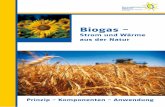 Biogas - sev-  · PDF file3 Solarenergieförderverein Bayern – Biogas Vorteile der Energiealternative Biogas Biogas ist eine dezentral verfügbare erneuerbare Energieform, die