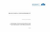 Bachelorarbeit - MOnAMi · PDF fileChange Communication at Restructuring Processes emplified at Beissbarth 72 Seiten, Hochschule Mittweida, University of Applied Sciences,
