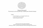 Fluoreszenz und Anwendung in Molekularer · PDF fileAbteilung: Chemie - Nachwuchsgruppe Chemische Biologie AK Wombacher ... Nobelpreis 2008: Osamu Shimomura Martin Chalfie Roger Tsien.