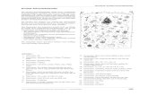 Knobel-Adventskalender - Schulbü · PDF file406 © 2011 Oldenbourg Schulbuchverlag GmbH Zahlenzauber E 4 – Lehrermaterialien Werkstatt: Knobel-Adventskalender In einem Nikolaussäckchen