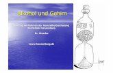 Alkohol und Gehirn - alida.dealida.de/fileadmin/redakteure/Suchterkrankungen/dokumente/... · Alkohol und Gehirn Vortrag im Rahmen der Gesundheitsschulung Fachklinik Hansenbarg Dr.