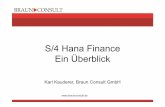 S/4 Hana Finance Ein Überblick - alligate.dealligate.de/wp-content/uploads/2013/10/Braun-S-4-Hana-Finance-01... · • S/4 Hana Finance ist nach Aussage von SAP Entwicklern auf dem