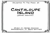 Cantaloupe Island - Herbie · PDF fileHerbie Hancock wurde 1940 in Chicago/Illinois geboren, ... cock The Headhunters, die mit der Crossover-Nummer Chameleon ihren größten Hit hatten