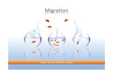 Carina Druckenmüller, Jana Sasepski-1.pptx · PDF fileModelle der Migration Push‐ Faktoren Pull‐Faktoren Im Herkunftsland vorherrschende Anreize für Migranten, dievom Aufnahmeland