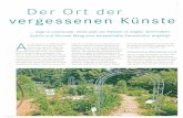 Kraut-und-Rueben-07-2009 - Paradiesgarten · PDF fileSybille Maag Gemüse anzubauen, von dem sie bald so viel hatte, dass Sich nicht ... gne sap uauppt tuasò!p 111 sa /)tuquum untpngnslsqouanaq