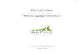 Potential der Mikroalgenproduktion Marktanalyse ALPAG …heckberatung.de/files/Mikroalgenproduktion_Marktanalyse.pdf · 1990er Jahre: Die Mikroalgenproduktion ist gegenwärtig vor