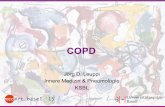 COPD - unispital-basel.ch · PDF filemedArt basel `15 Globale Strategie für die Diagnose, das Management und die Prävention von COPD GOLD: COPD Definition • Eine häufige, vermeidbare