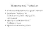 Hormone und Verhalten - · PDF filePrinzipien der Hormonwirkung 1. Hormone wirken graduell und beeinflussen Verhalten lange nachdem ihre Konzentration im Blut abgenommen hat 2. Hormone