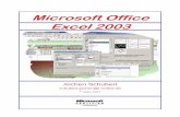 Office Excel 2003 - WIRTSCHAFTS- UND · PDF fileMicrosoft Excel ist ein Tabellenkalkulationsprogramm, mit dessen Hilfe Sie Texte, Zahlen, Formeln und Funktionen eingeben können. Der