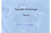 Spezielle Pathologie - NierePathologie+der+Niere... · Klinisch-pathologische Konferenz Nephrologe: Ich berichte über eine 60 Jahre alte Patientin mit seit längerem bestehenden