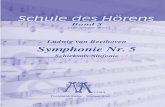 Ludwig van Beethoven Symphonie Nr. 5 - Schule des Hö · PDF filedarstellt, trägt noch die Bezeichnung “presto” und zeigt wie groß die Gefahr ist, dass sich dieses Klopfmotiv