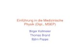 Einführung in die Medizinische Physik (Dipl., MSEP)medi.uni-oldenburg.de/download/docs/lehre/kollm_einf_med_phys/ZNS... · Einführung in die Medizinische Physik (Dipl., MSEP) Birger