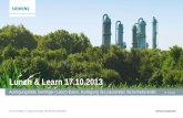 Lunch & Learn 17.10 - Siemens Global Websitew3.siemens.com/mcms/engineering-consulting/Documents/Flyer_de/... · • API Standard 521 / ISO 23251 (Abschnitt 4 liefert einen detaillierten