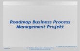 Roadmap Business Process Management Projektpublic.hochschule-trier.de/~stmann/GP/Projektmanagement StartIt.pdf · Projekt Rahmenbedingungen ... Mittleres Management Kompetenzträger