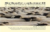 Schafe-aktuell 012013 korr 0705 - lms- · PDF fileburg-Vorpommern durch die LMS zeigen auch im Jahr 2012, dass die Schafhaltung ... E-8 bewertet wurde. Zur Körung wog er mit 353 Lebenstagen