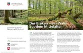Der Braken – ein Wald aus dem Mittelalter · PDF file(1102 bis 1648) schützten die Natur des Braken, indem sie große Teile als Bannwald vor der Ausbeutung bewahrten und nachhaltig